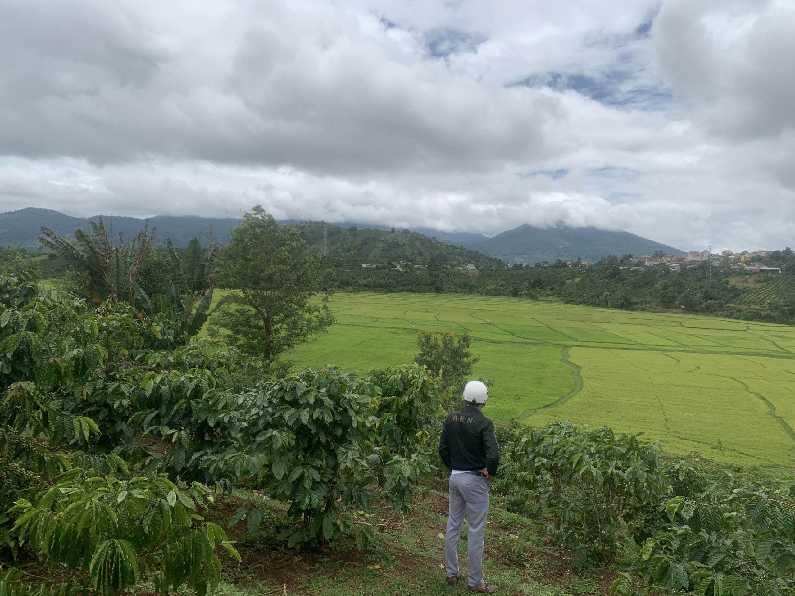 z4170138942586 b4f0b1fbae1c866d964c53b8d3518341 scaled