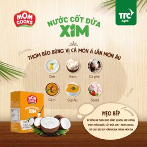hop nc cot dua 553212d13bda4cd49d0a19d1f5ebbce5 master