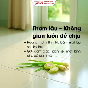 vn 11134207 7ras8 mcvgv3gf663g3d